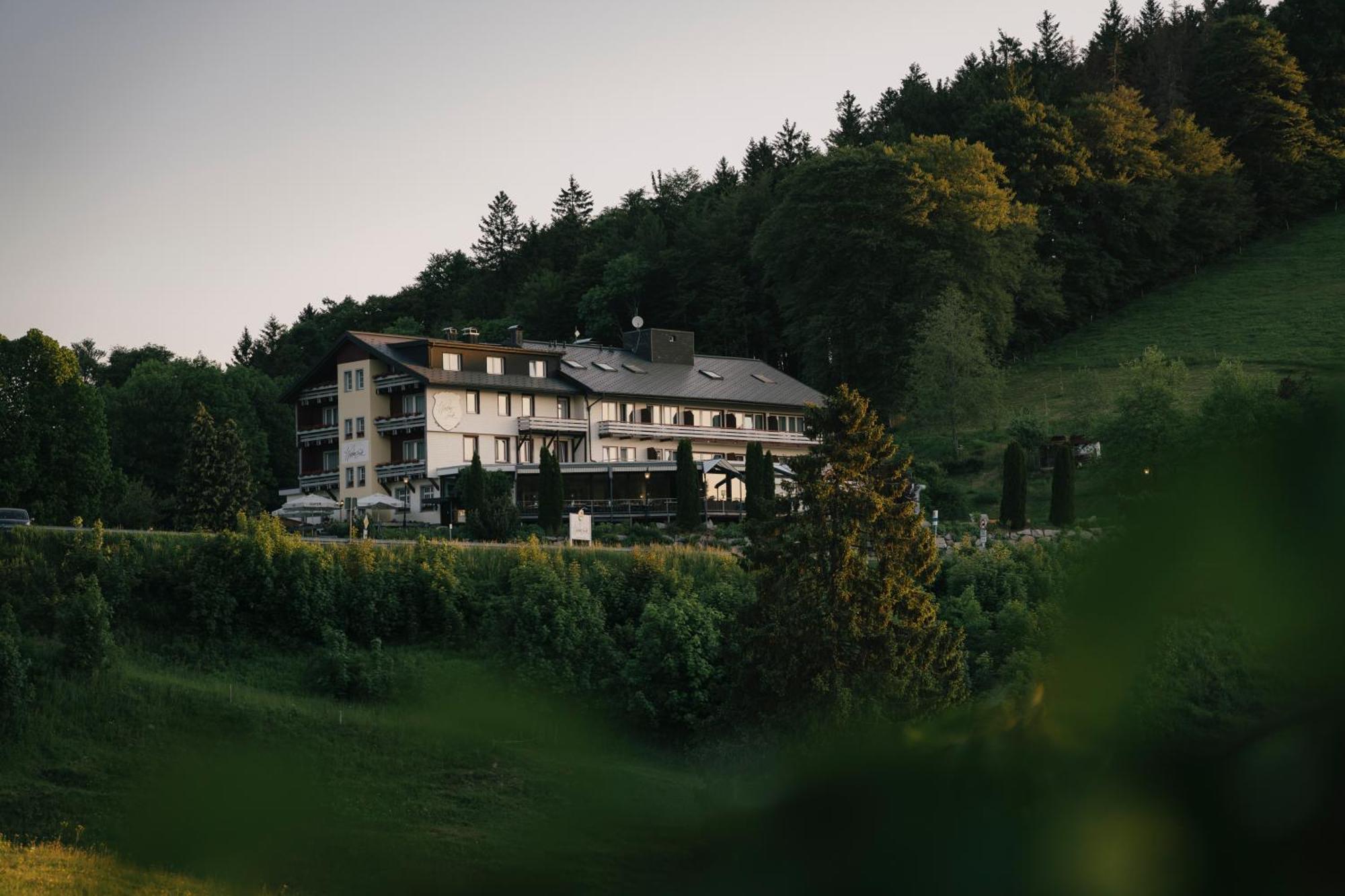 Berghotel Wiedener Eck Kültér fotó